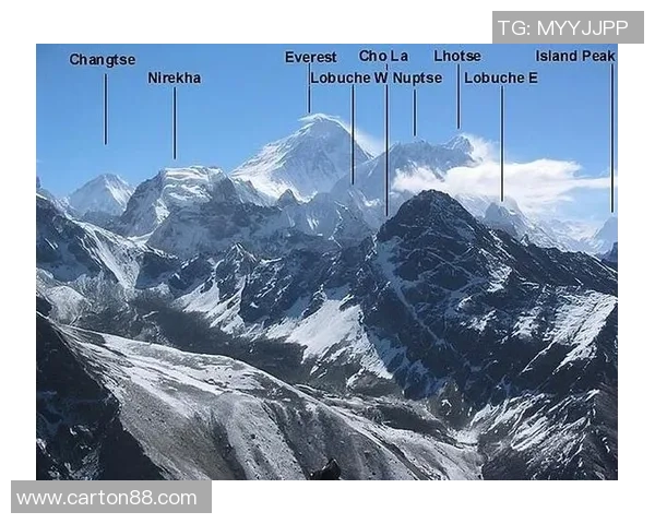 杭州足球队转型之路的挑战与机遇全景解析